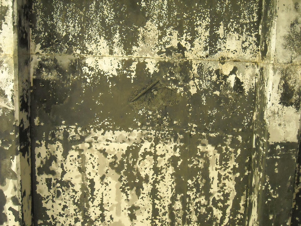 Structure  