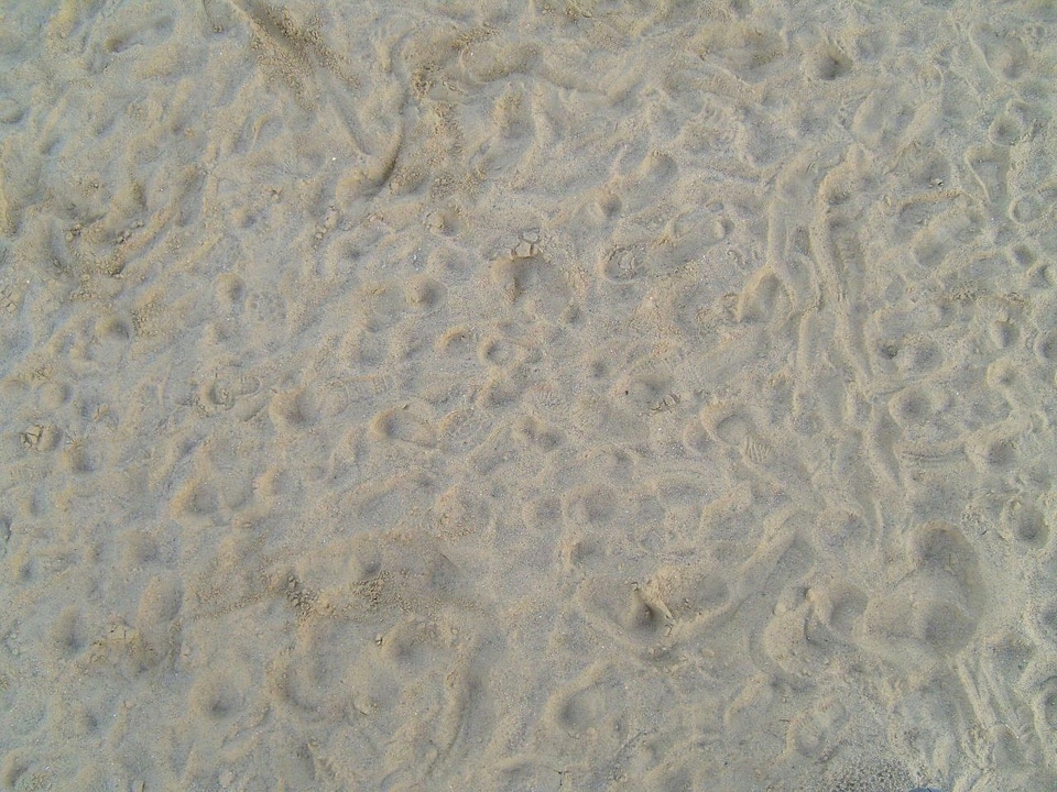 Model sand 