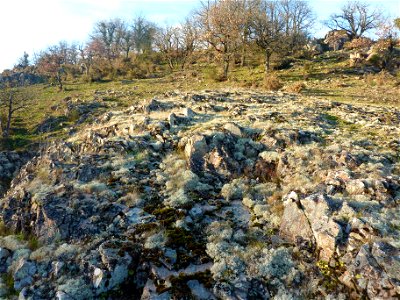 Vallée de l'Argenton