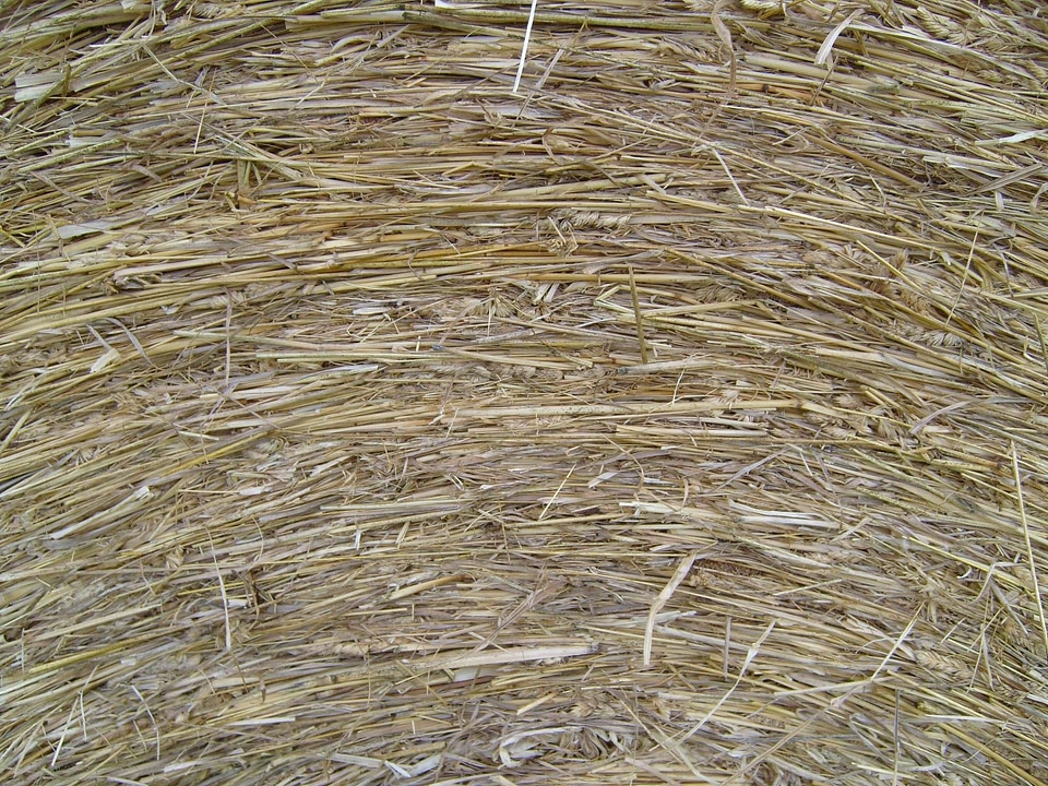 Close close-up roll