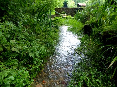 Seugne et affluents