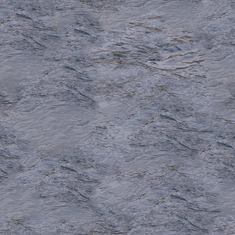 Aquatic model 