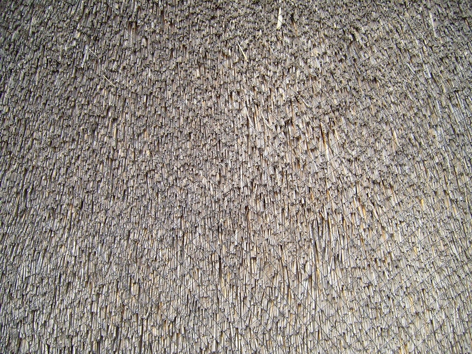 Cane ceiling 