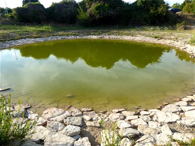Lavogne, Le Caylar