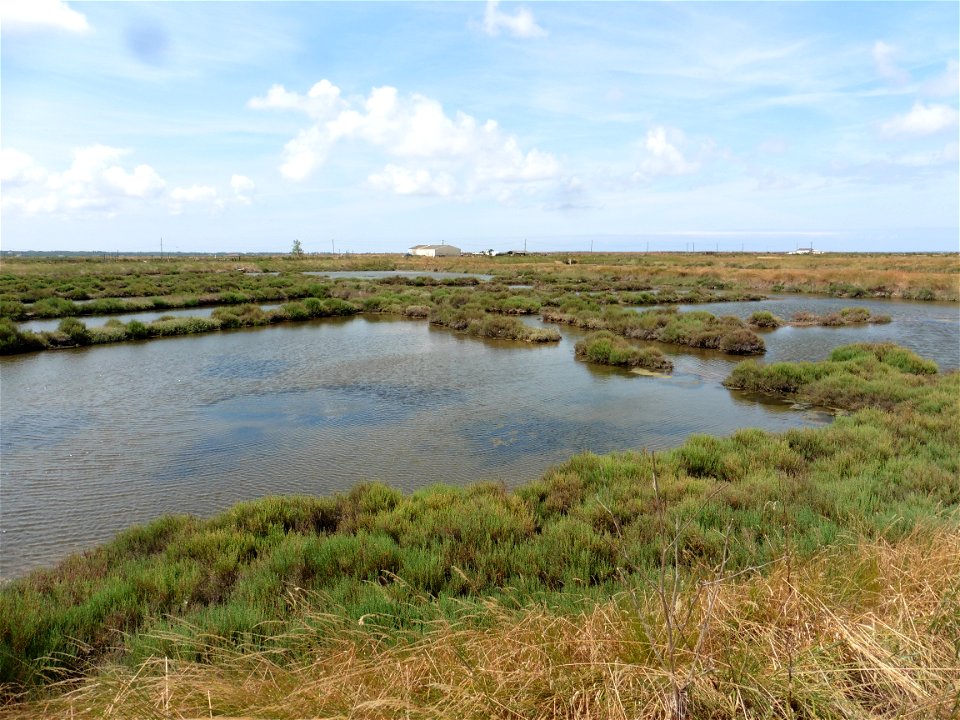 Littoral charentais, Oléron, Moëze