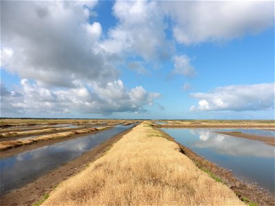 Littoral charentais, Oléron, Moëze