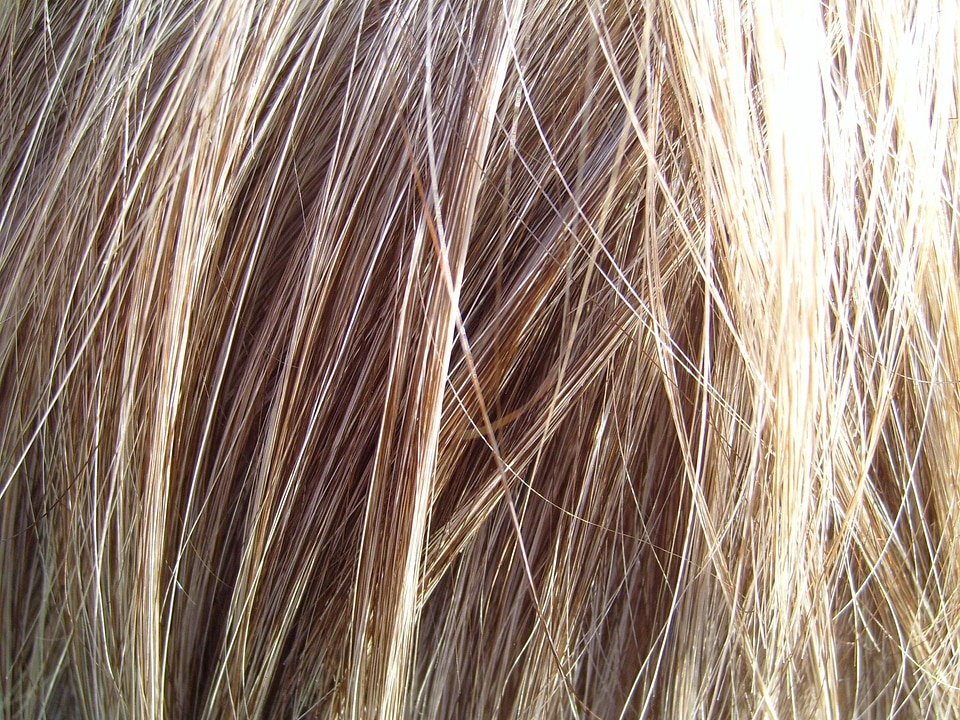 Blonde Hair detailed hair