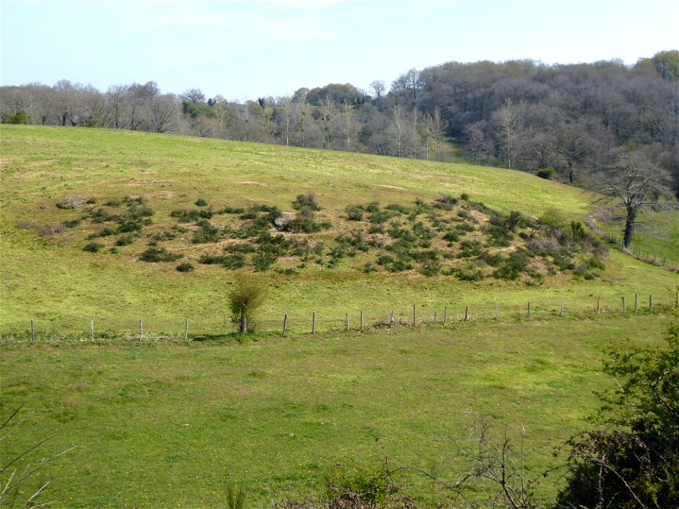 Vallée des Amourettes, Vendée