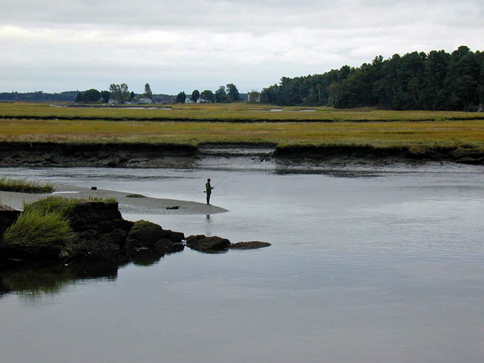 Angler aquatic distance