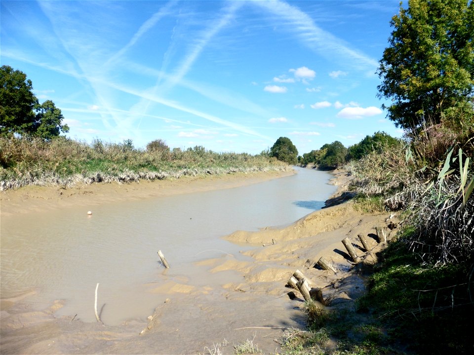 Fleuve Charente, Charente-Maritime