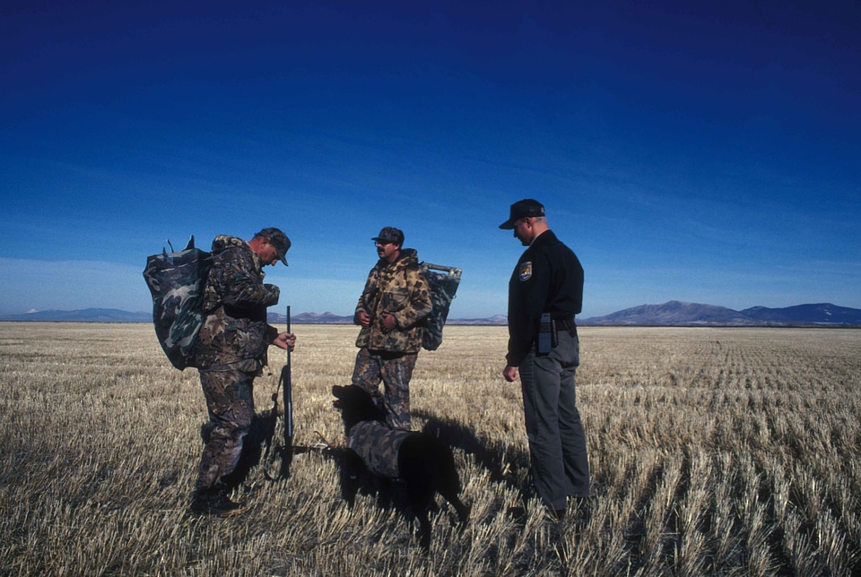 Cane duck enforcement