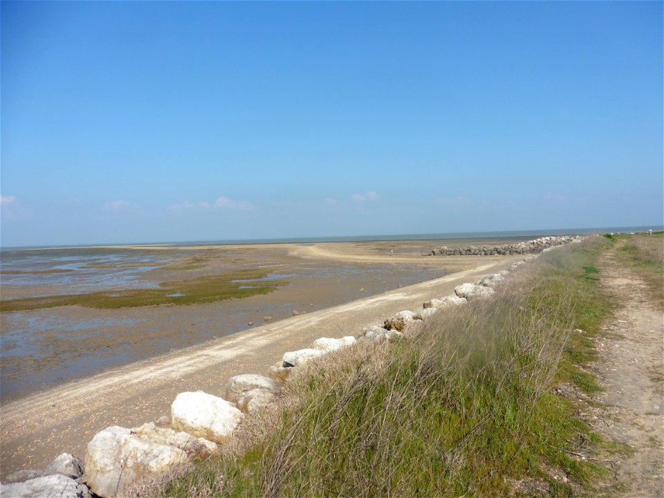Littoral charentais, Oléron, Moëze