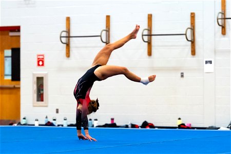 Gymnastics-2635