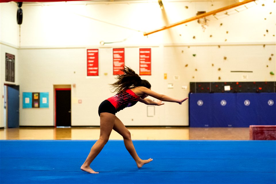 Gymnastics-6595