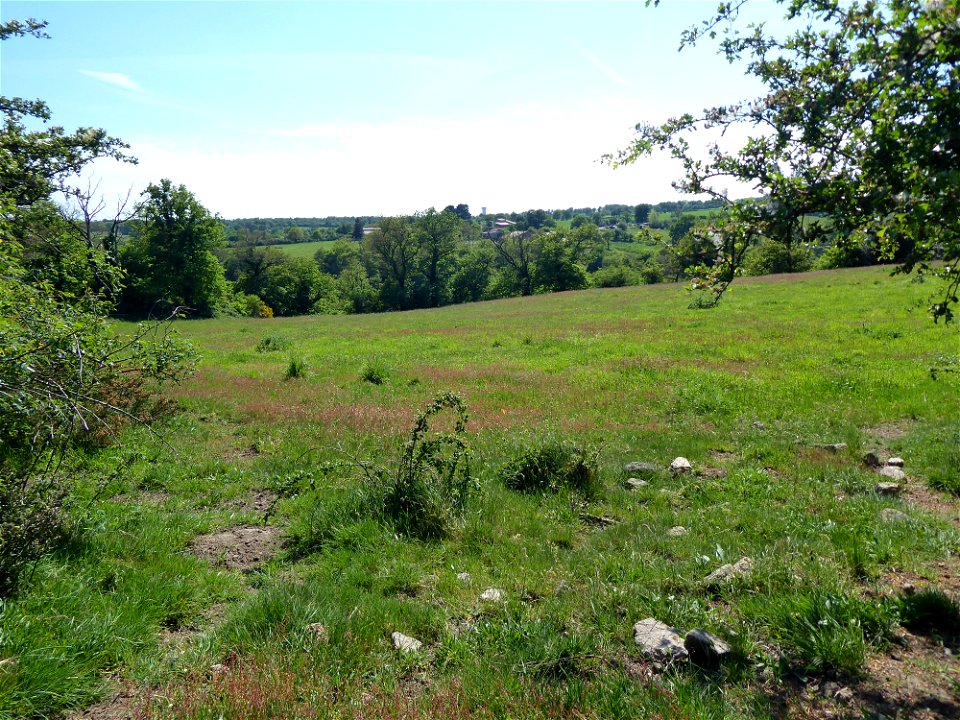 Tiffauges depuis Torfou