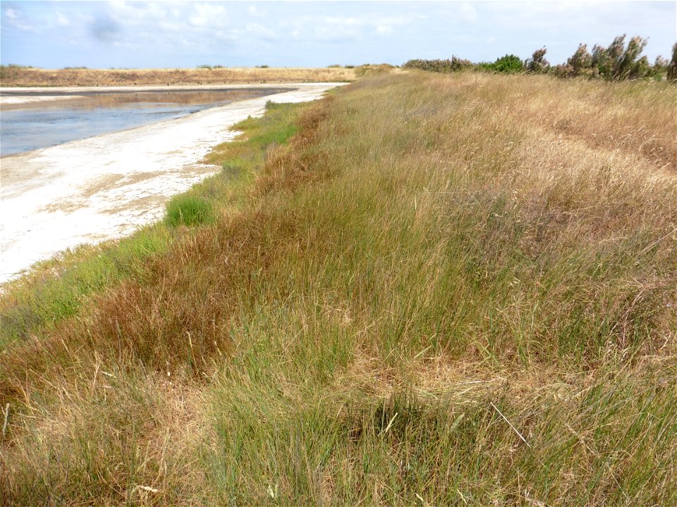 Littoral charentais, Oléron, Moëze