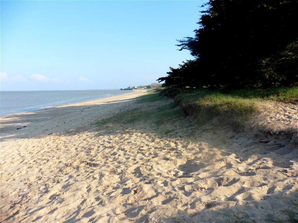 Littoral charentais, Oléron, Moëze