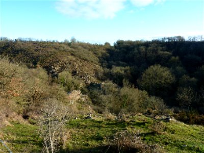 Vallée de l'Argenton