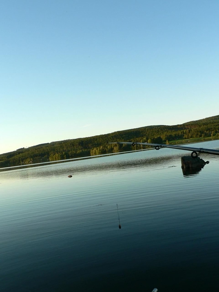 Fishery fishing rod mare