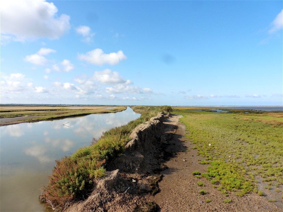 Littoral charentais, Oléron, Moëze