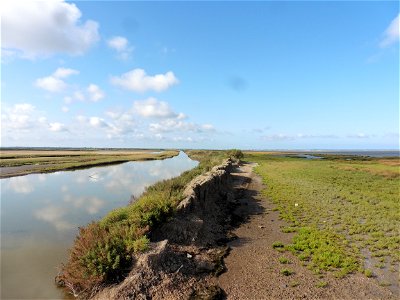 Littoral charentais, Oléron, Moëze