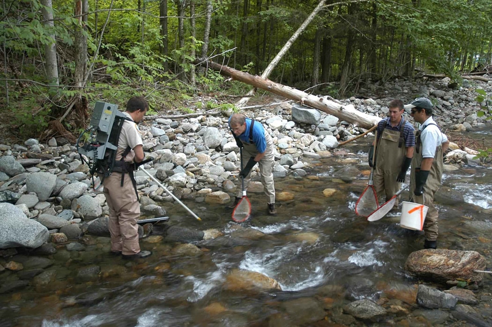 Catching fish river