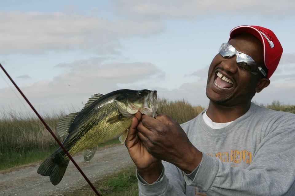 Angler fang photo