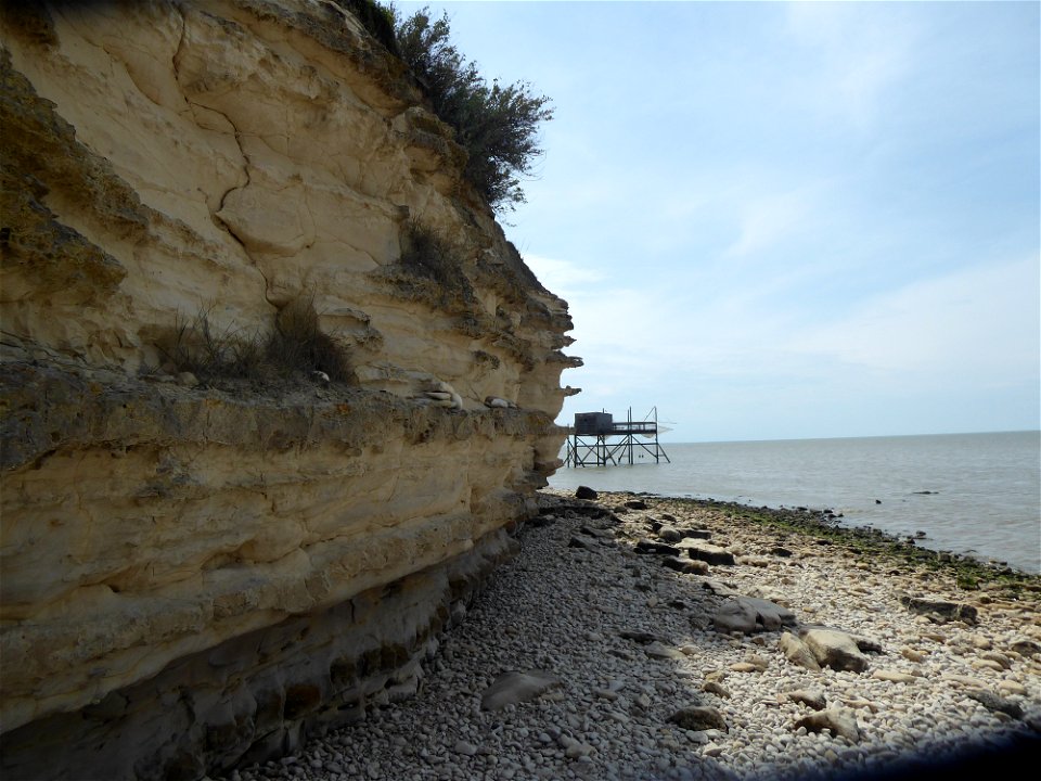 Falaises d'Esnandes