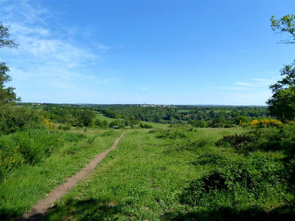 Tiffauges depuis Torfou