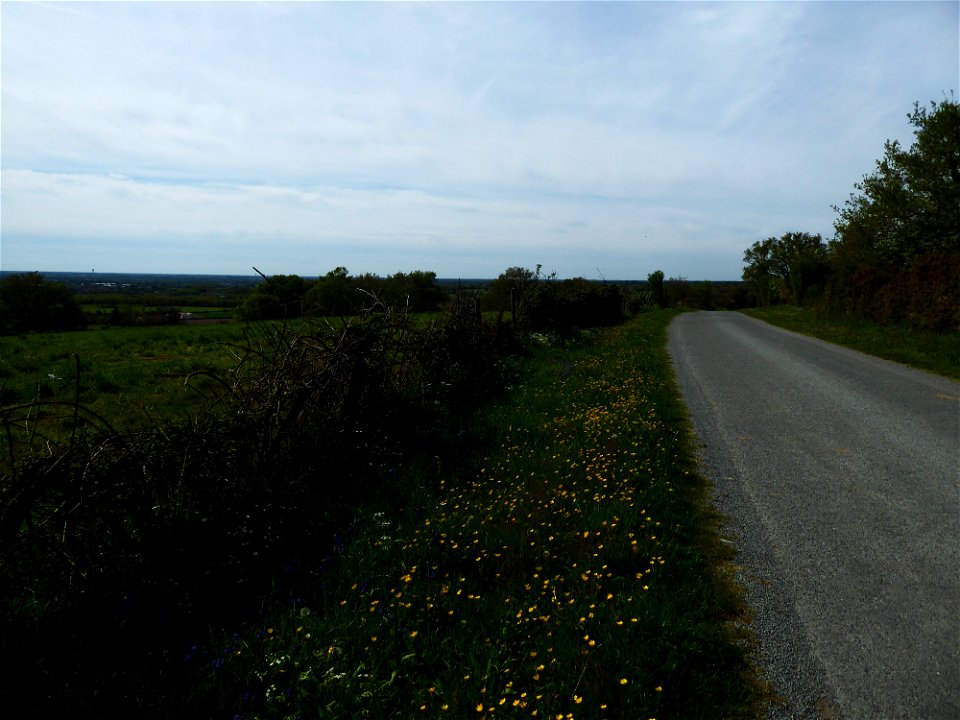 Bocage vendéen, Les Herbiers