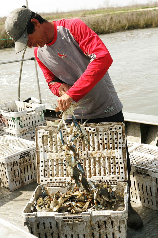Basket cargo full