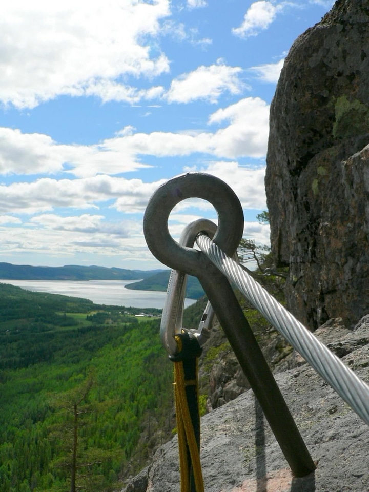 Climbing mountainside phylum