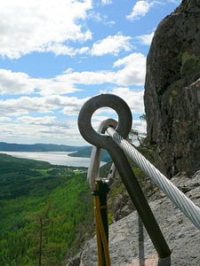 Climbing mountainside phylum