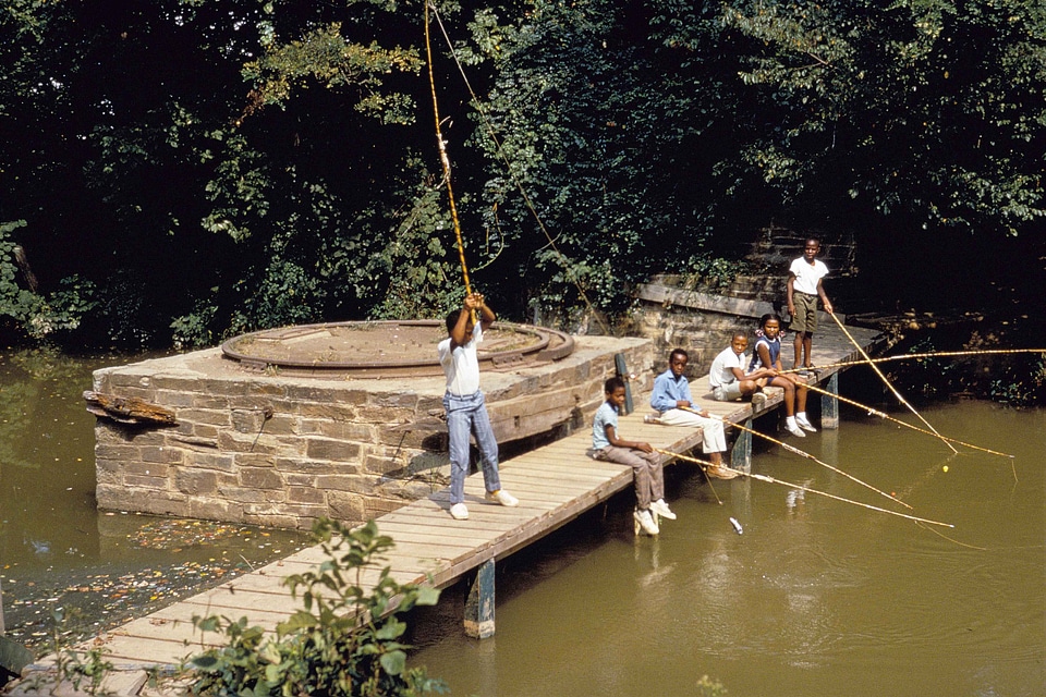 American babies bridge