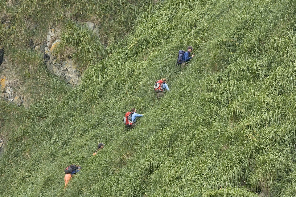 Climbing hill tropical