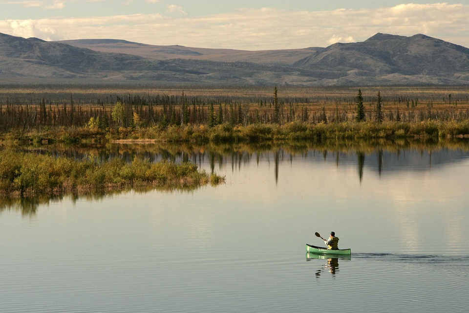 Paddle photo