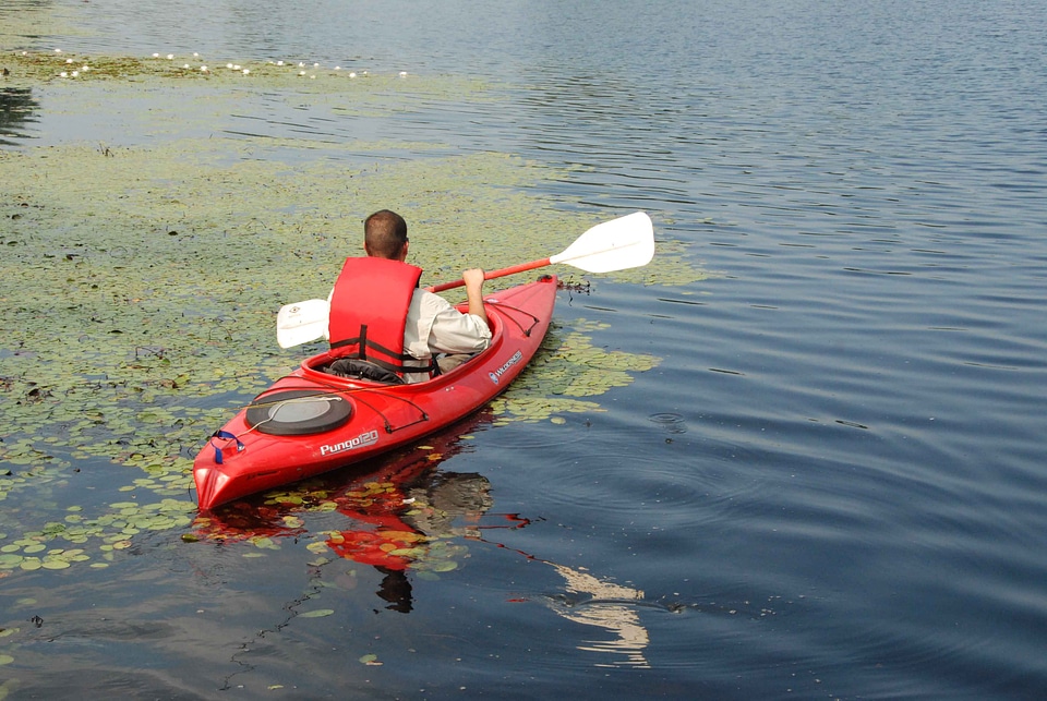 Calm canoe promenade