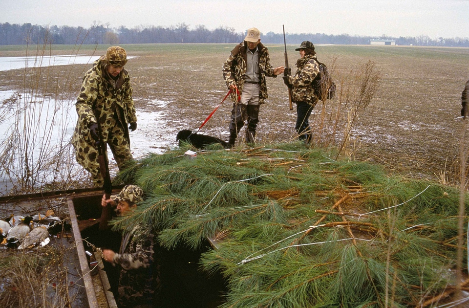 Aquatic Bird camouflage cane