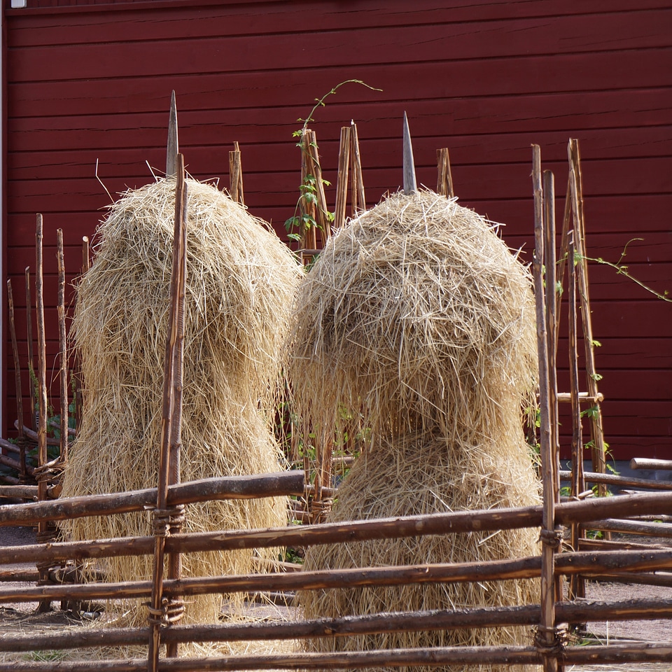 Plug-fence finnish animal's