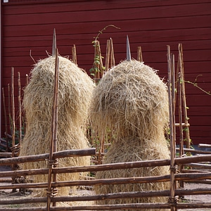 Plug-fence finnish animal's