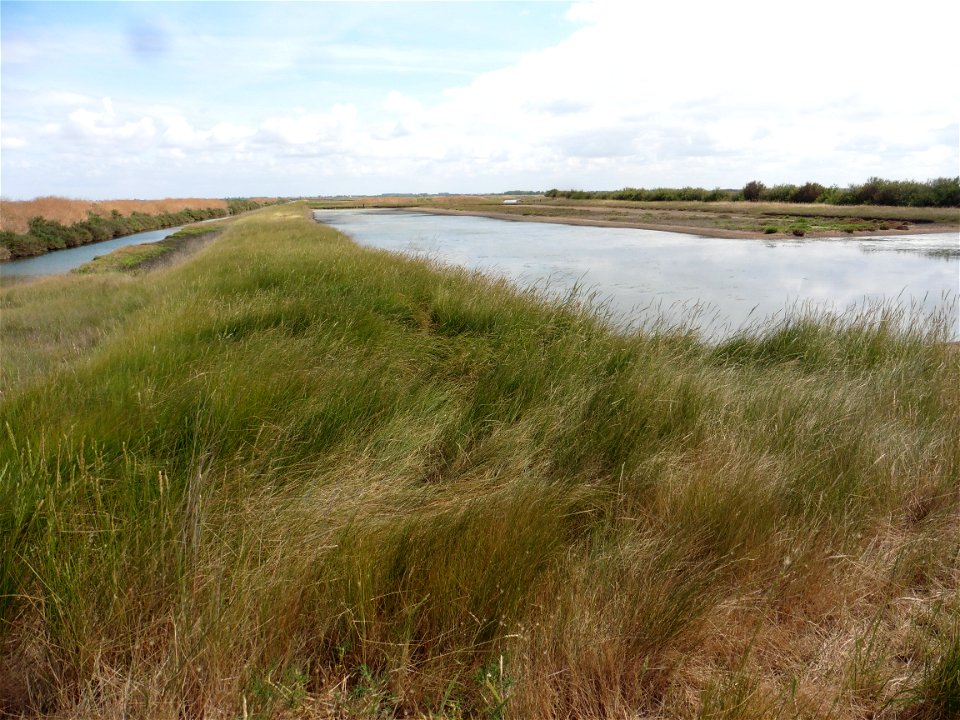 Littoral charentais, Oléron, Moëze