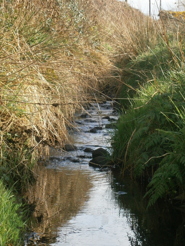 Stream water flow