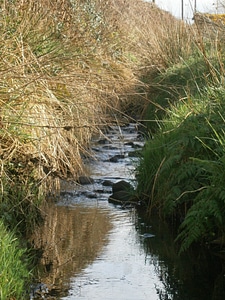 Stream water flow photo