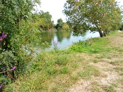 Fleuve Charente, Charente-Maritime