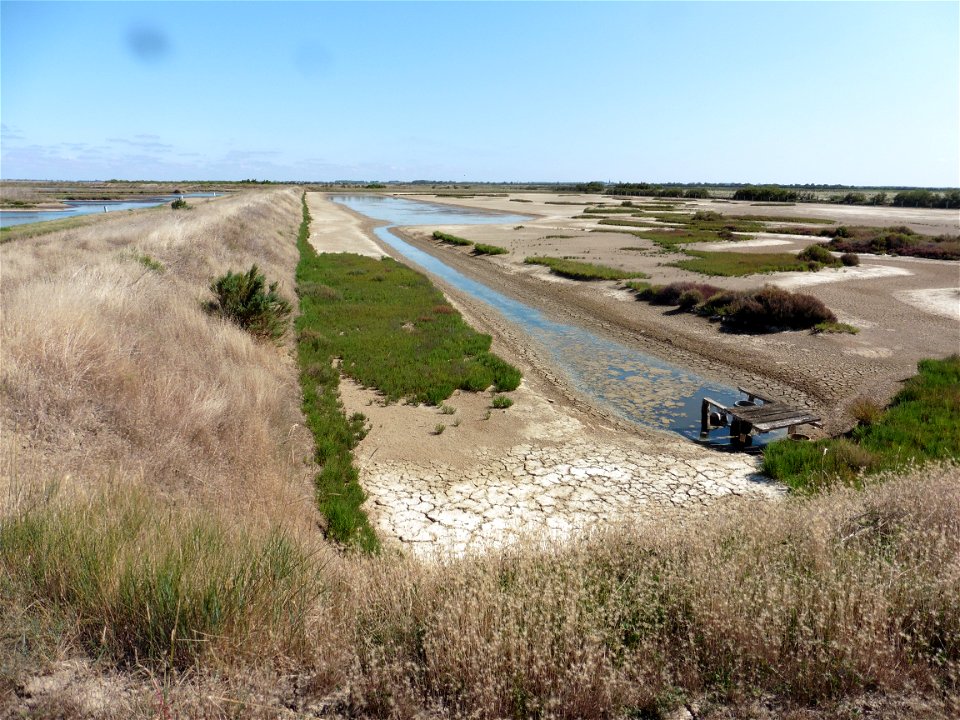Littoral charentais, Oléron, Moëze