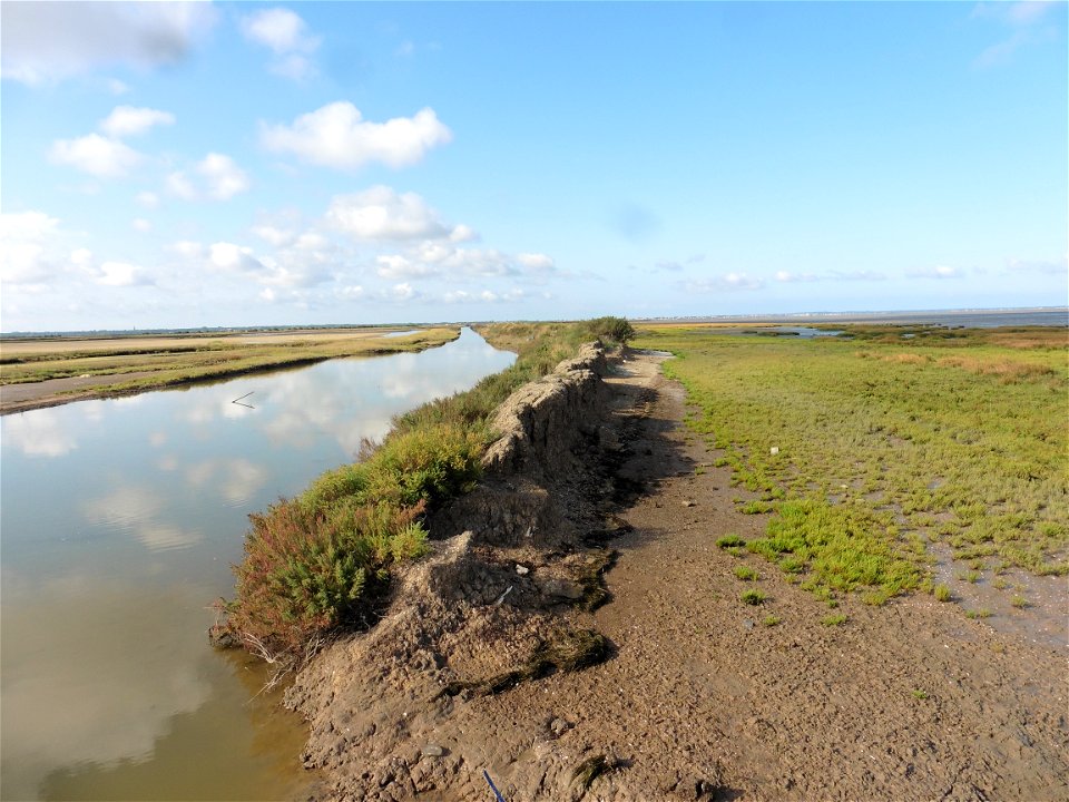 Littoral charentais, Oléron, Moëze