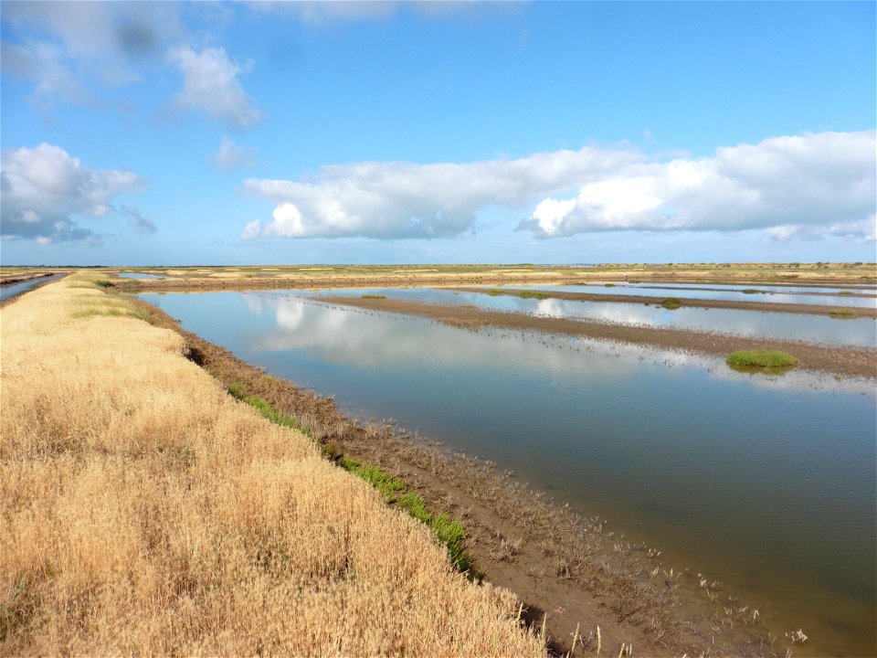 Littoral charentais, Oléron, Moëze