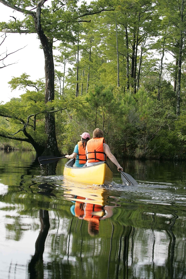 Close paddle shoreline