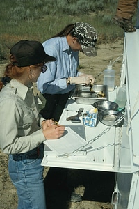 Goose processing study