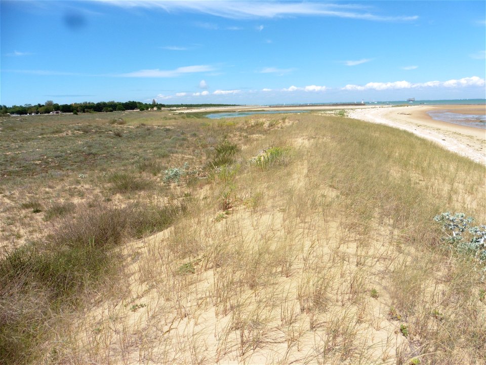 Littoral de Charente-Maritime